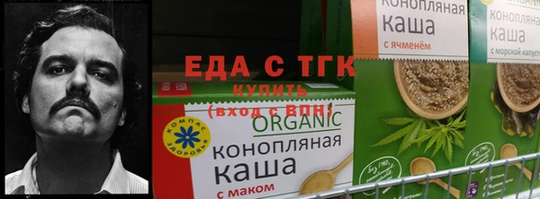 амф Алексин