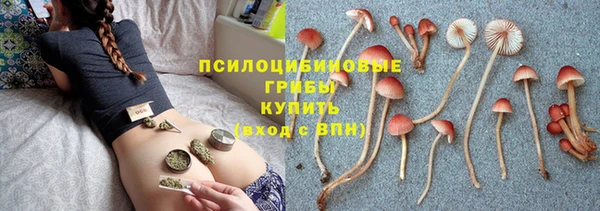 прущие крисы Алзамай