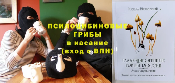 твердый Алексеевка
