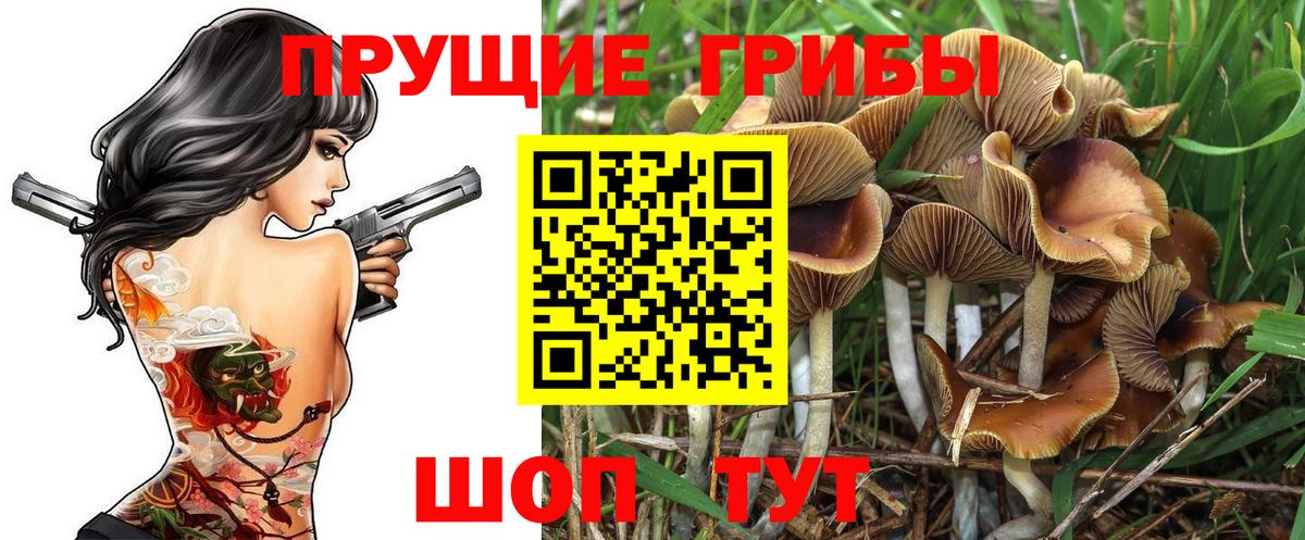 Галлюциногенные грибы Psilocybine cubensis Похвистнево